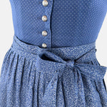 Blue_Berwin&Wolff_Dirndl_Dress_for_rent_detail