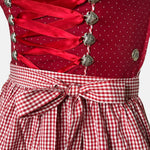 Red Marjo Dirndl with polka dot bodice, gingham skirt, and floral embroidery, available for rent on Versatile OTM.